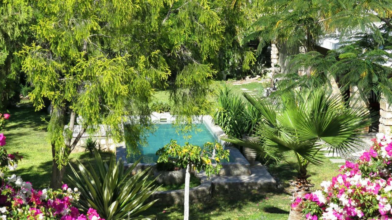 Vila Tarentaal Guest Farm Outjo Exteriér fotografie